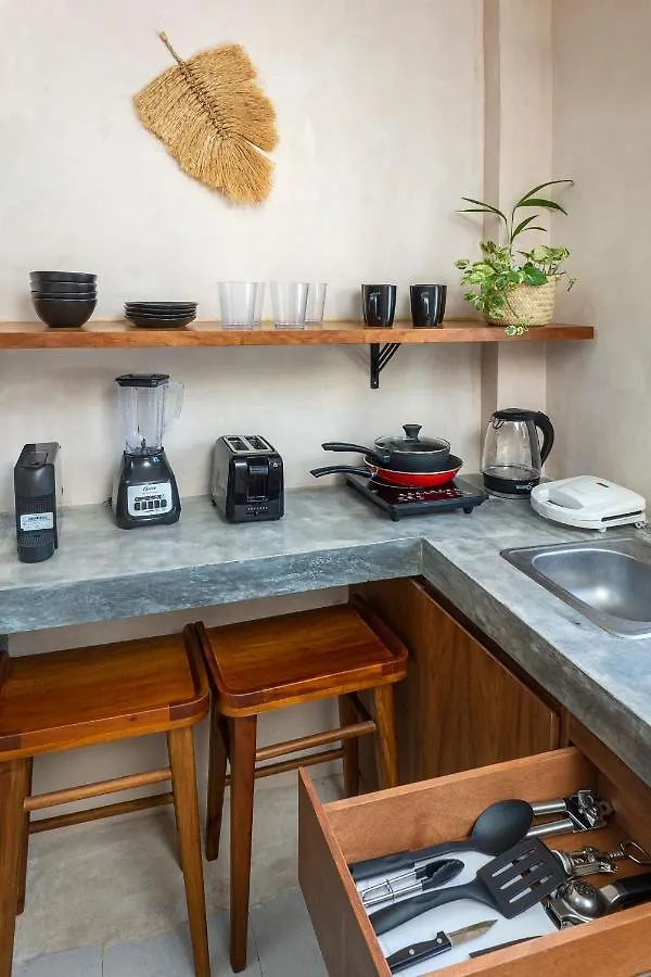 Rodina Boutique Hotel Playa del Carmen Mexique